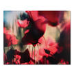 Sabine Wenzel – Mohn Nr. 3
