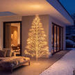 Dolden-Lichterbaum