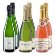 Champagner-Geheimtipps Set