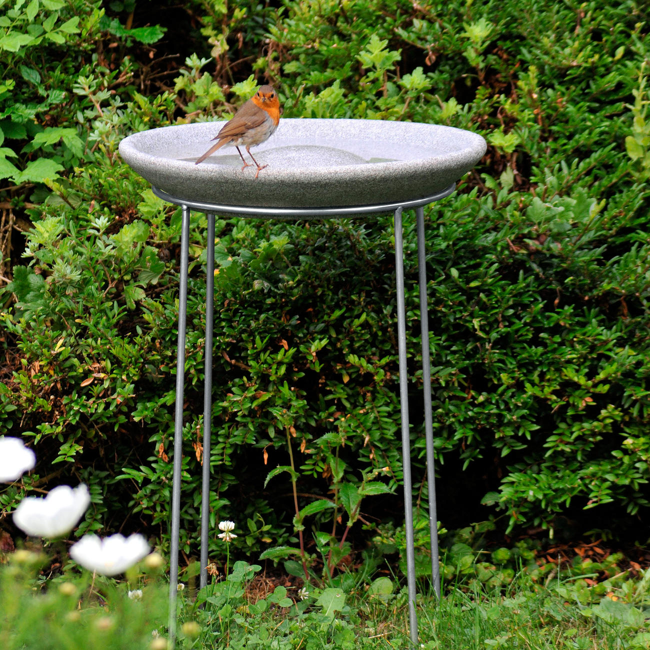 Denk Vogeltränke aus Granicium inkl. EdelstahlStänder