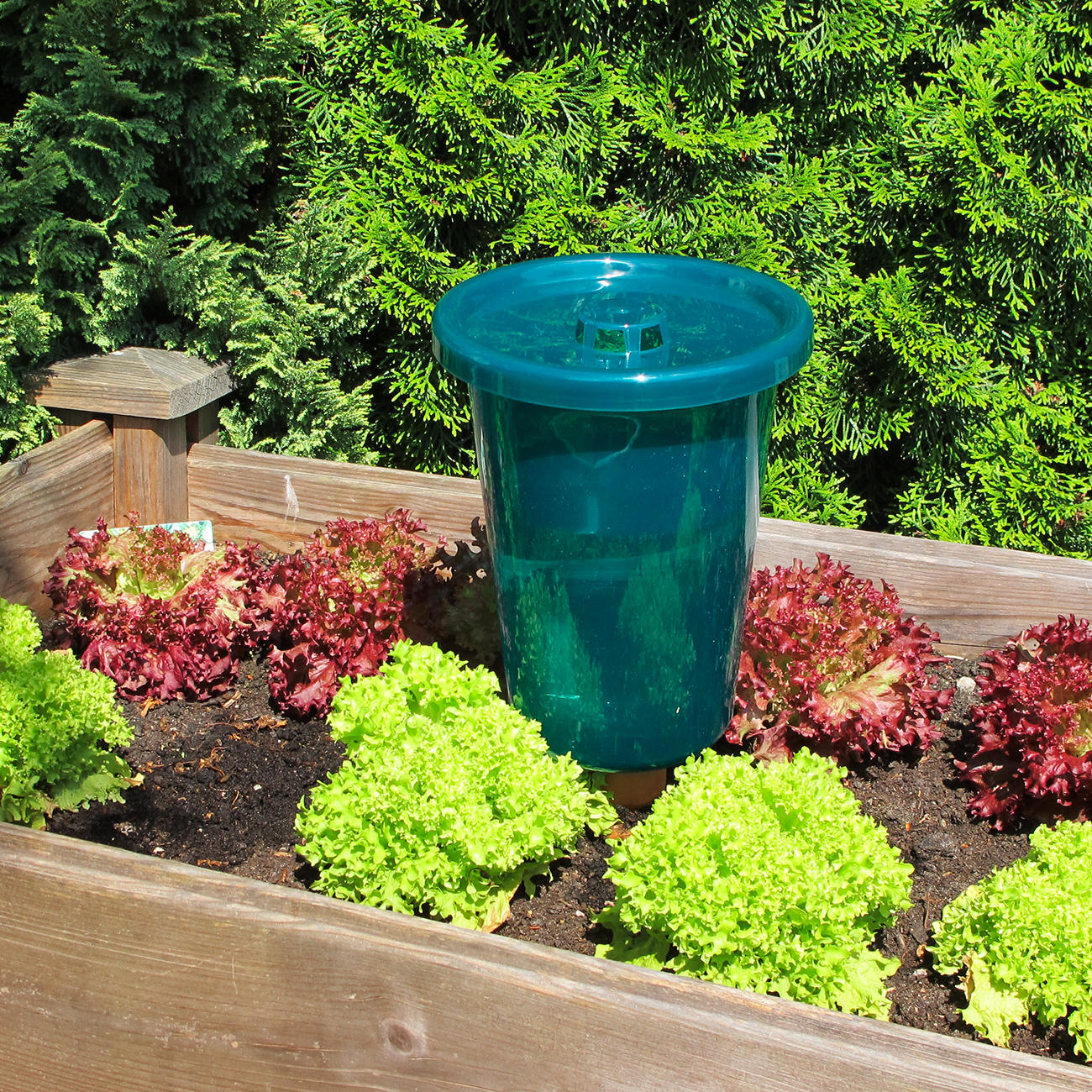 Bio Green Hydro Cup Bewateringssysteem - Set Van 4 - 2,5 Liter - Voor Bloembedden En Potten - Zelfwatergeven