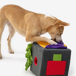 Hunde- und Katzenspielzeug Sniffbox Das Aufspüren von Leckerlis ist zugleich Spiel, Training und Erfolgserlebnis.