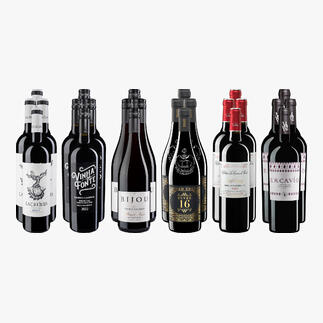 Weinsammlung - Die kleine Rotwein-Sammlung Herbst 2024, 24 Flaschen Wenn Sie einen kleinen, gut gewählten Weinvorrat anlegen möchten, ist dies jetzt besonders leicht.