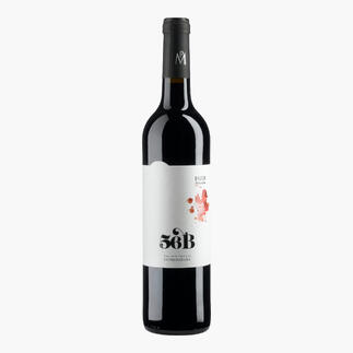 Flasche Paiva 56 Barricas Rotwein aus Extremadura, Spanien.