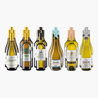 Kleine Weißwein-Sammlung bestehend aus 24 Flaschen verschiedener Sorten.