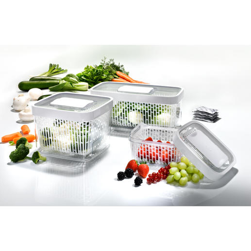 Greensaver™ Frischeboxen Geniale Vorratsboxen absorbieren Ethengas und schaffen für jedes Obst und Gemüse das optimale Lagerklima.