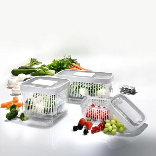 Drei Greensaver™ Frischeboxen mit Gemüse und Obst in verschiedenen Farben angereiht.