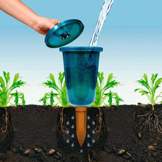 Hydro Cup Bewässerungshilfe mit Wasserfüllung über einer Pflanze.