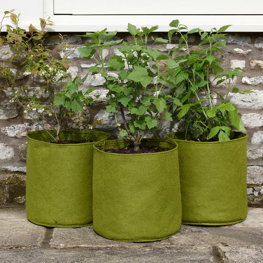 20 l, 3er-Set 20 l, 3er-Set