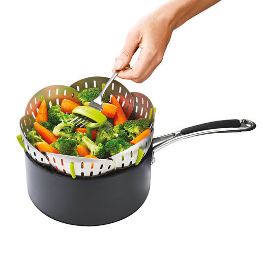 Dampfgarer Einsatz Faltbar - Vielseitig Für Gemüse, Fisch & Dim Sum