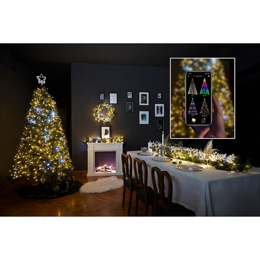 Magische Lichterkette Magische Lichterketten verwandeln Ihren Weihnachtsbaum in eine atemberaubende Licht-Installation.