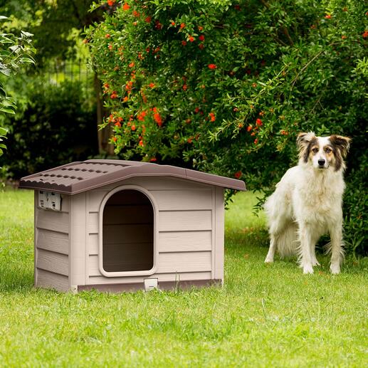 Hund steht neben einer Haustierhütte mit aufstellbarem Dach im Garten.