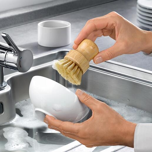 Nachhaltiges Spülbürsten-Set  Umweltbewusst Geschirrspülen und Händewaschen.