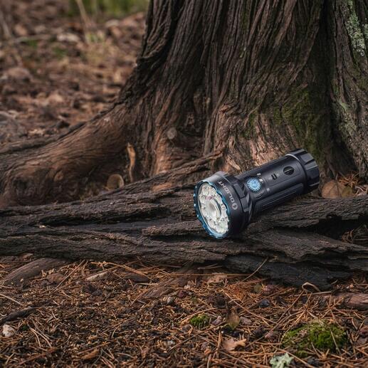 Kompakte Taschenlampe auf einem Baumstamm im Wald.