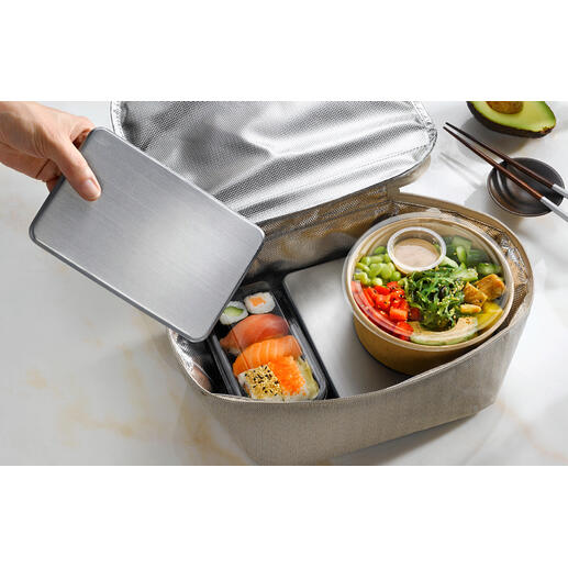 Edelstahl-Kühlakku wird in eine Kühltasche mit Essen eingelegt.
