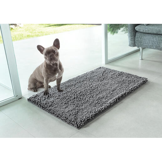 Hunde auf einer Haustier-Schmutzmatte vor einer Glastür.