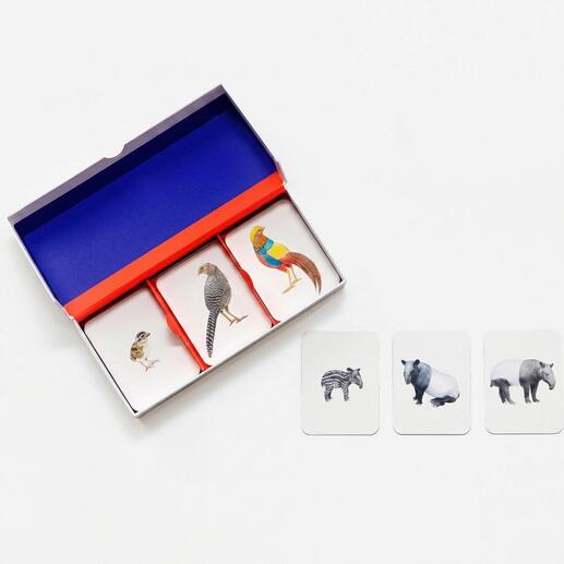 Tierfamilien-Memo-Spiel mit Karten in einer geöffneten Verpackung