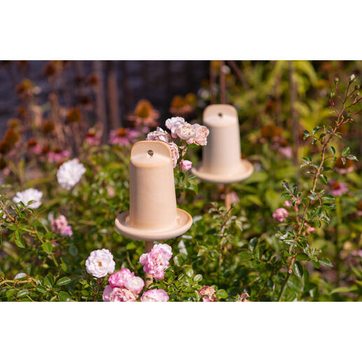 Drei 3-in-1 Insektenhäuser dekorativ im Garten zwischen Rosenblüten.