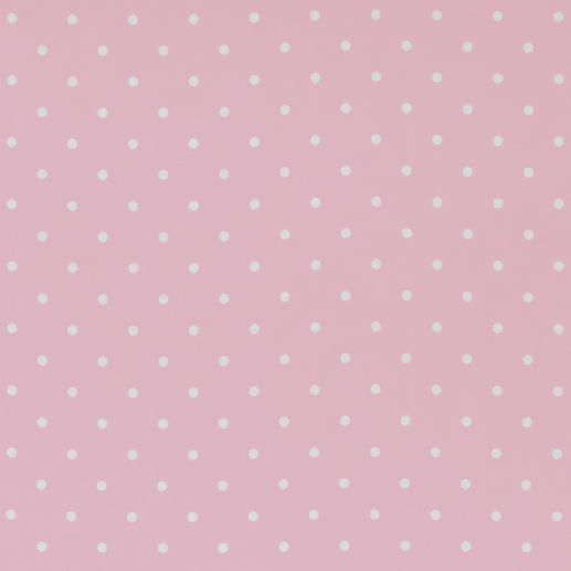 Rosa Rosa