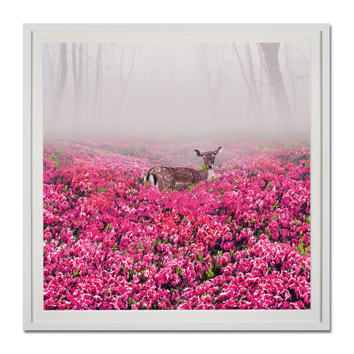 Robert Jahns – Pink Deer Robert Jahns: Einer der populärsten Instagram-Stars. Seine erste Edition – exklusiv bei Pro-Idee. 60 Exemplare. Maße: gerahmt 110 x 110 cm