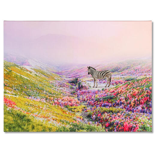 Robert Jahns – Flower Zebra Robert Jahns: Einer der populärsten Instagram-Stars. Über 20.000 Likes. Flower Zebra – jetzt als Leinwand-Edition. Exklusiv bei Pro-Idee.
Maße: 100 x 75 cm