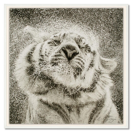 Koshi Takagi – Tiger Fotorealistische Bleistiftzeichnung. Mit über 1 Million handgemalten Strichen. Koshi Takagis neueste Edition. 40 Exemplare. 
Maße: gerahmt 103 x 103 cm