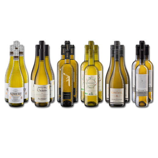 Weinsammlung - Die kleine Weißwein-Sammlung Frühjahr/Sommer 2023, 24 Flaschen Wenn Sie einen kleinen, gut gewählten Weinvorrat anlegen möchten, ist dies jetzt besonders leicht.