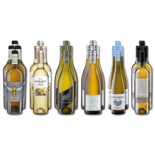 Weinsammlung - Die kleine Weißwein-Sammlung Winter 2023, 24 Flaschen Wenn Sie einen kleinen, gut gewählten Weinvorrat anlegen möchten, ist dies jetzt besonders leicht.