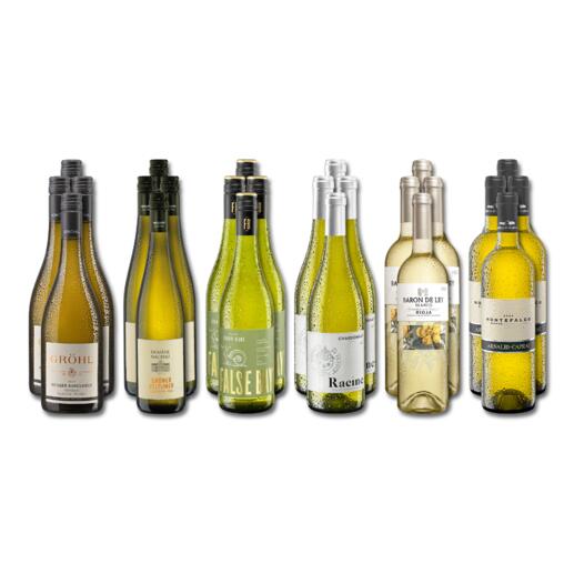 Weinsammlung - Die kleine Weißwein-Sammlung Frühjahr/Sommer 2024, 24 Flaschen Wenn Sie einen kleinen, gut gewählten Weinvorrat anlegen möchten, ist dies jetzt besonders leicht.