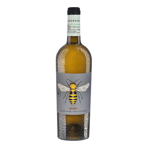 Flasche Bodegaverde Macabeo 2023 mit künstlerischem Design und Etikett.