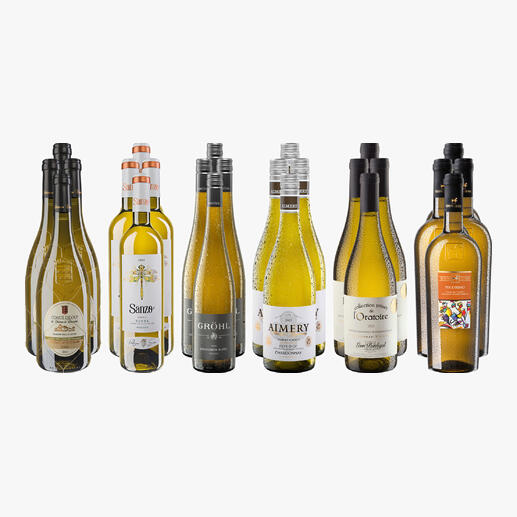 Weinsammlung - Die kleine Weißwein-Sammlung Herbst 2024, 24 Flaschen Wenn Sie einen kleinen, gut gewählten Weinvorrat anlegen möchten, ist dies jetzt besonders leicht.