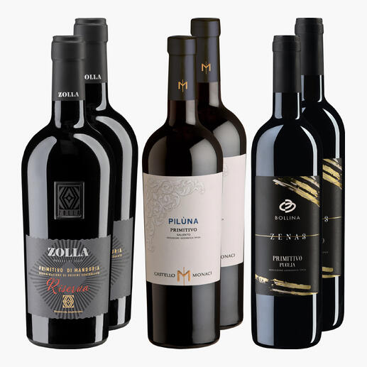 Sechs Flaschen Primitivo-Wein in einer Anordnung auf einem hellen Hintergrund.