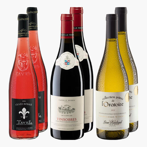 Sechser-Pack verschiedener Weine in Flaschen, angeordnet auf einem hellen Hintergrund.