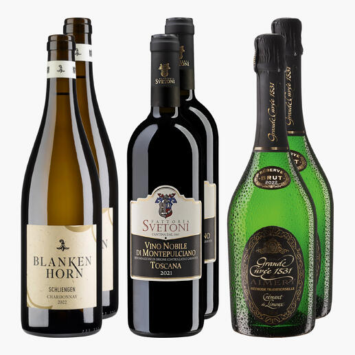 Sechs Flaschen Wein, darunter Rot- und Schaumweine, auf einem hellen Hintergrund.