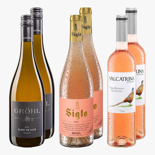 Set von fünf Flaschen roséweinen, ideal für Verkostungen.