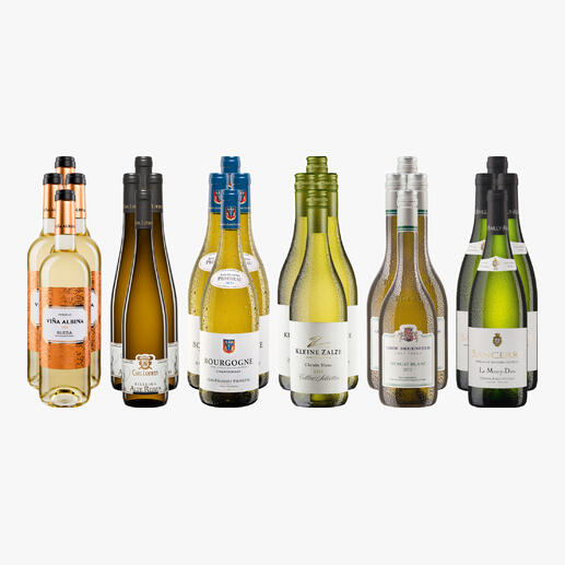 Sortiment von 24 Weißweinföhnen in einer kleinen Weißwein-Sammlung für den Hochsommer 2025.