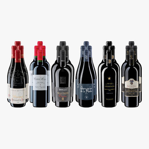 Sortiment von 24 Rotweinen für anspruchsvolle Genießer in einer kleinen Rotwein-Sammlung 2025.