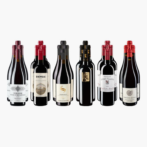 Kleine Rotwein-Sammlung mit 24 Flaschen hochwertiger Rotweine.