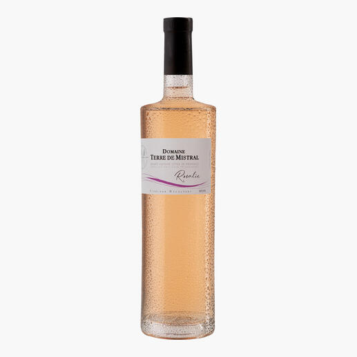 Flasche Roséwein mit Etikett vor weißem Hintergrund
