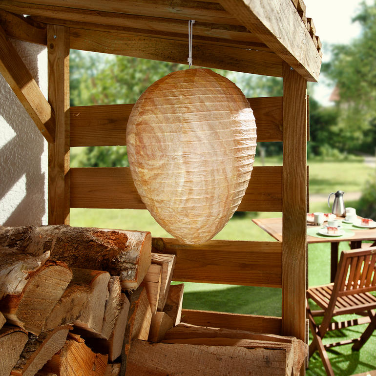 Wespennest-Attrappe hängt unter einer Holzstruktur im Garten, umgeben von Pflanzen.