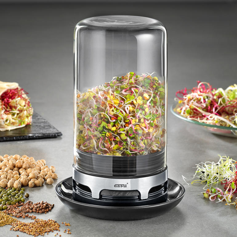 Gefu Sprossenglas mit Keimlingen in einem Glasbehälter.