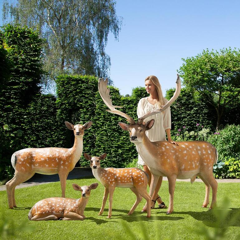 Damwildrudel mit einem Geweihträger in einem Garten