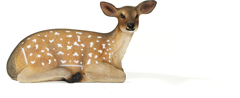 Liegendes Damhirschkalb mit braunem Fell und weißen Flecken.