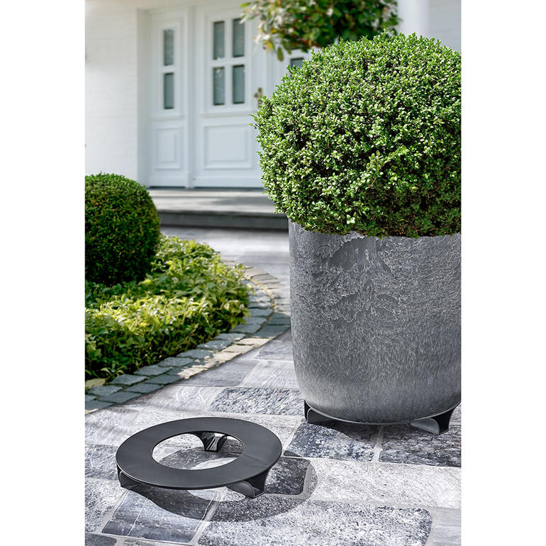 Schicke Pflanztöpfe mit Untersetzern auf einem Pflasterweg.