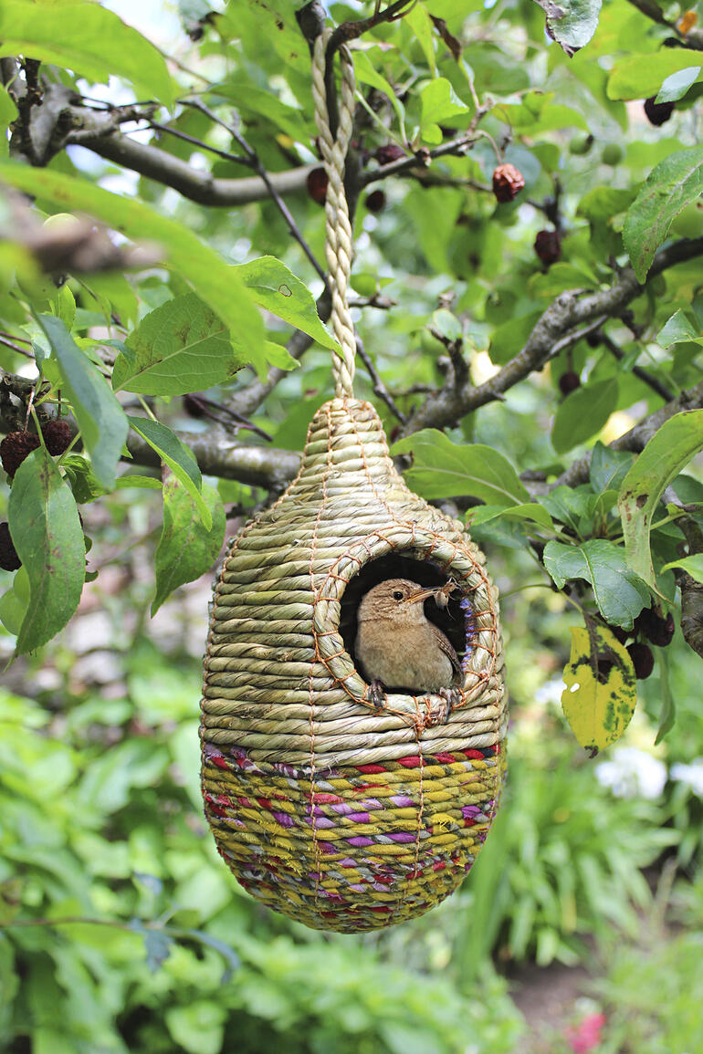 Artisan Vogelnest mit Vögeln, hängend an einem Baum