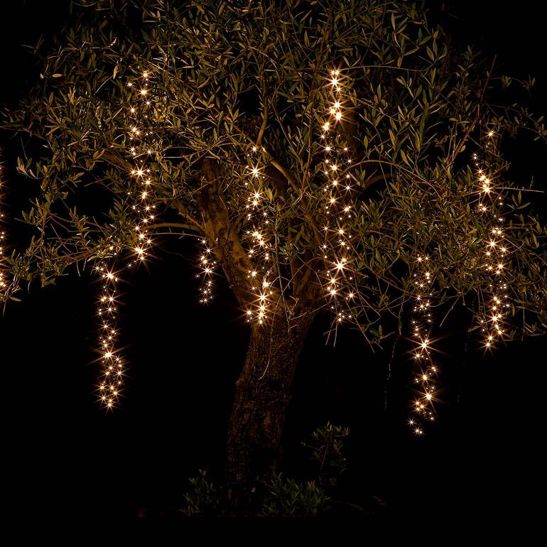 Kaskaden-Lichterkette leuchtet an einem Baum in der Nacht