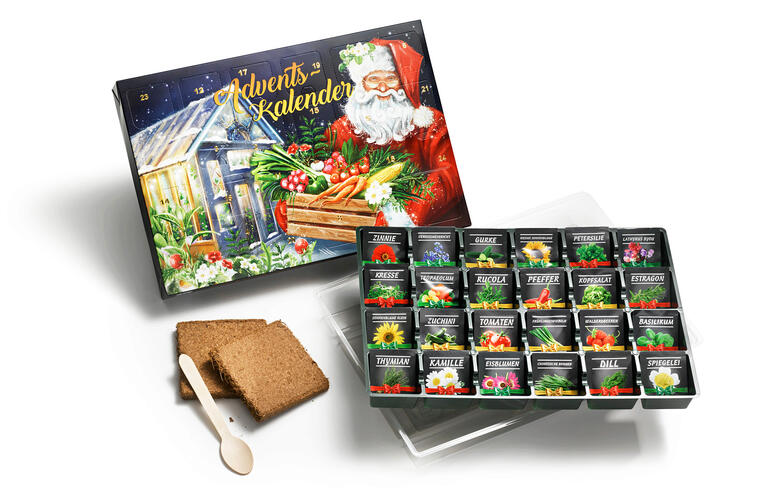 Öffneter Saat-Adventskalender mit verschiedenen Saatpäckchen und Lebkuchen.