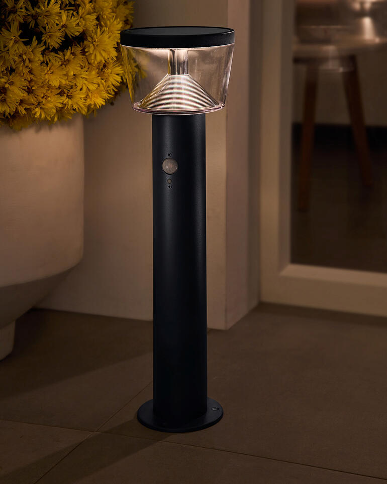 Solar-Bodenleuchte mit einem klaren Lampenschirm im Garten