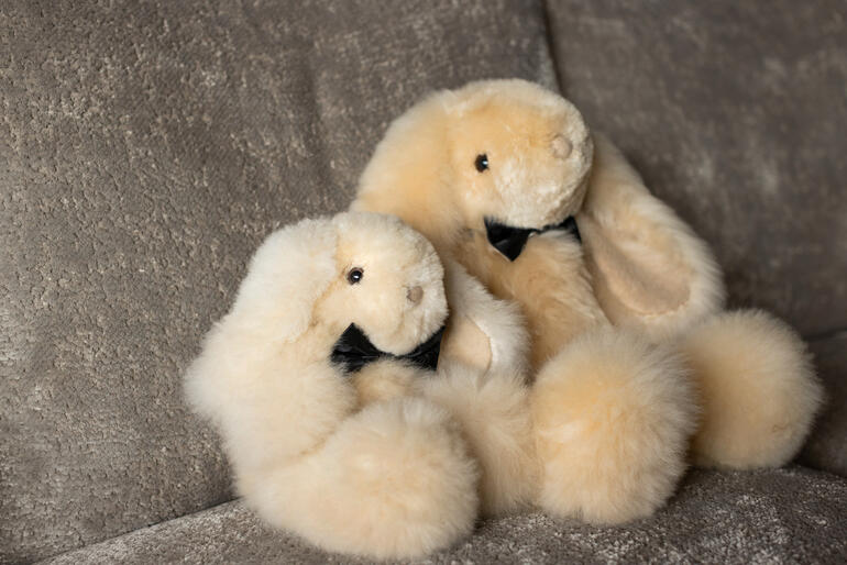 Zwei Alpaka-Hasen in champagnerfarben, auf einer Couch sitzend.