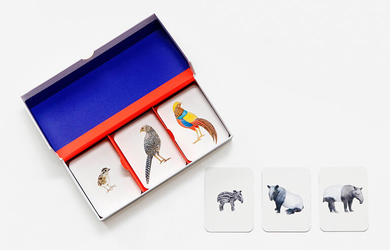 Tierfamilien-Memo-Spiel mit Karten in einer geöffneten Verpackung